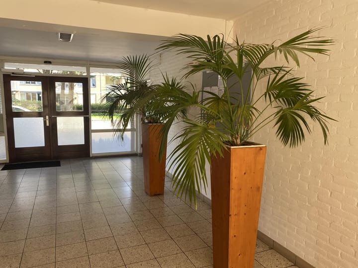 Foto 9 van Apollolaan 538