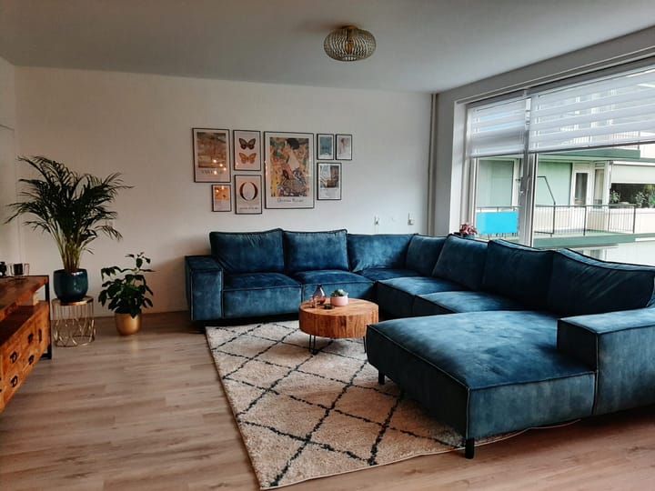 Foto 12 van Apollolaan 538