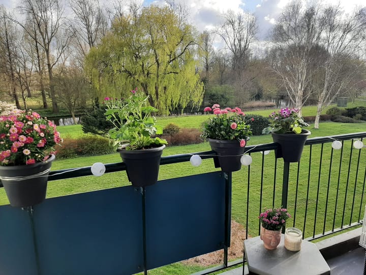 Foto 25 van Apollolaan 538