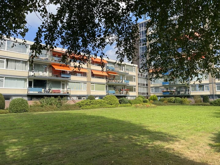 Foto 27 van Apollolaan 538