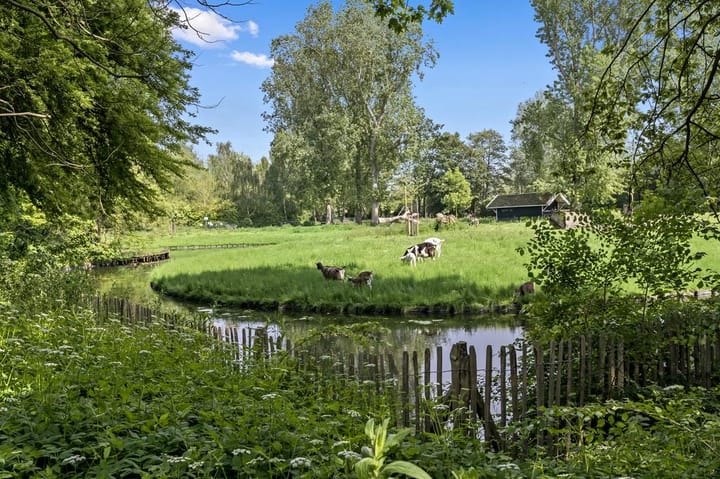 Foto 28 van Apollolaan 538