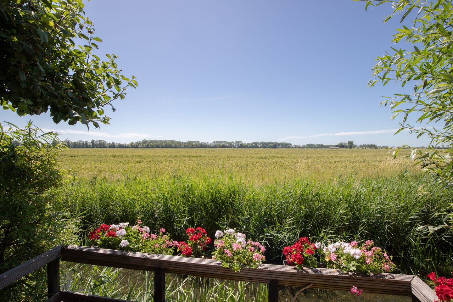 Foto 44 van Sietse Veldstraweg 11