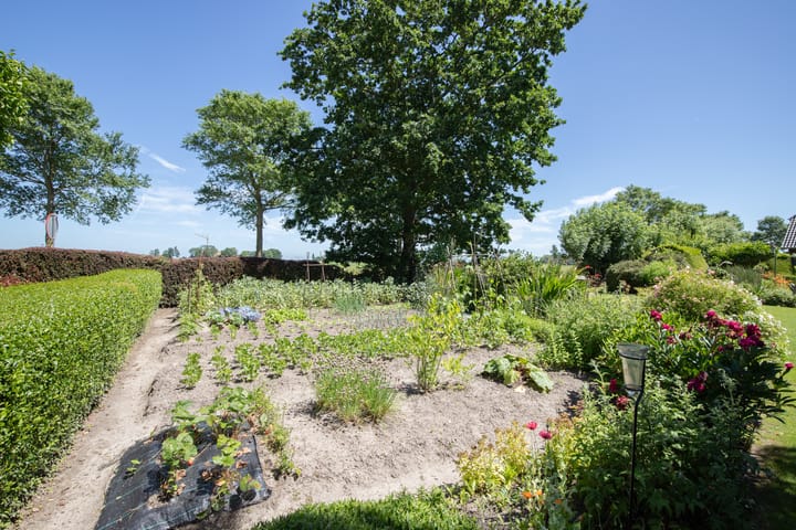 Foto 50 van Sietse Veldstraweg 11