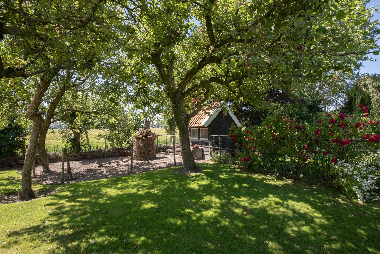 Foto 57 van Sietse Veldstraweg 11