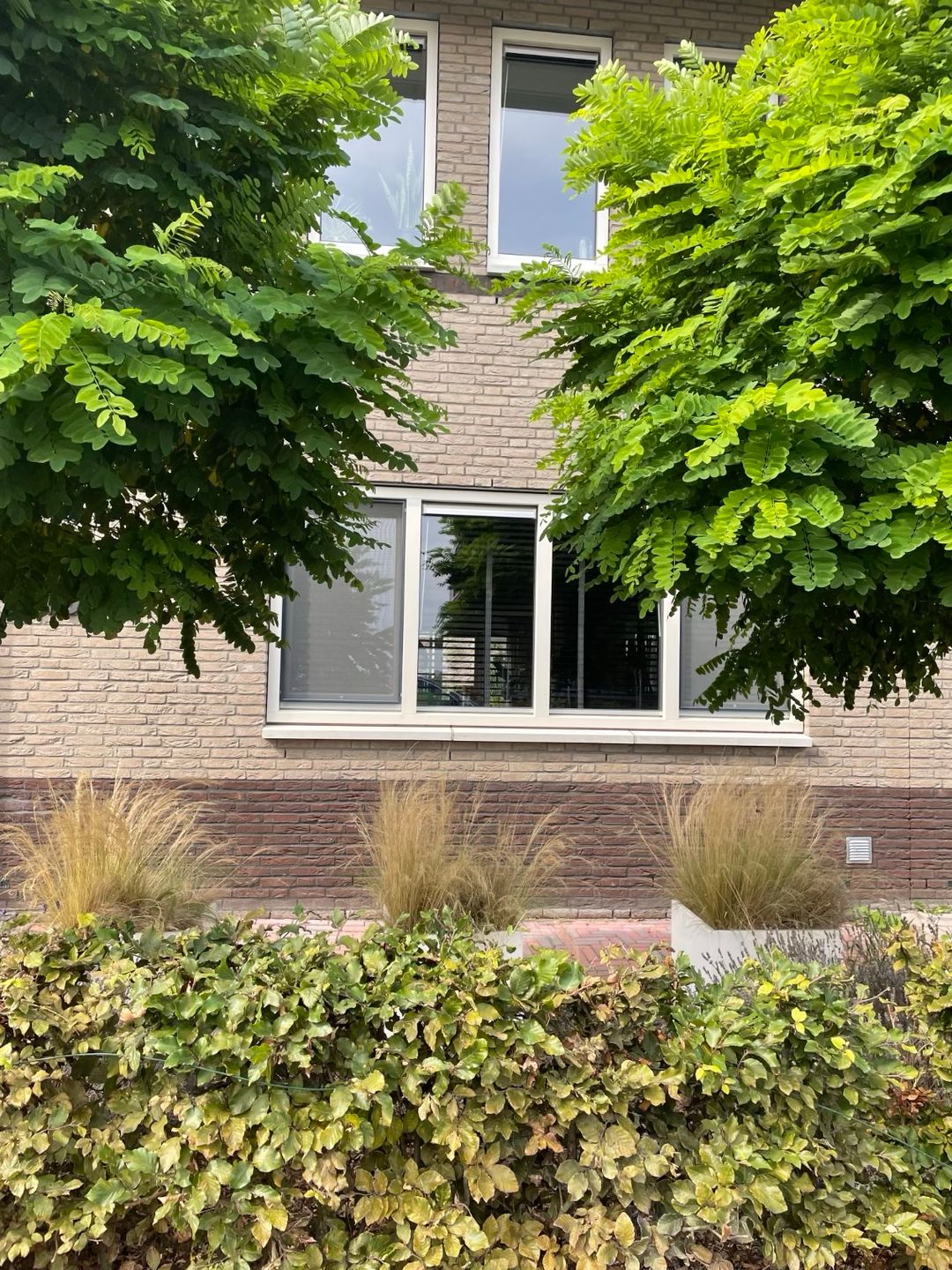 Foto 37 van Waterlinie 116