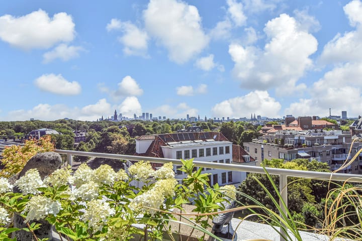 Foto 2 van Stadhoudersplantsoen 20-B