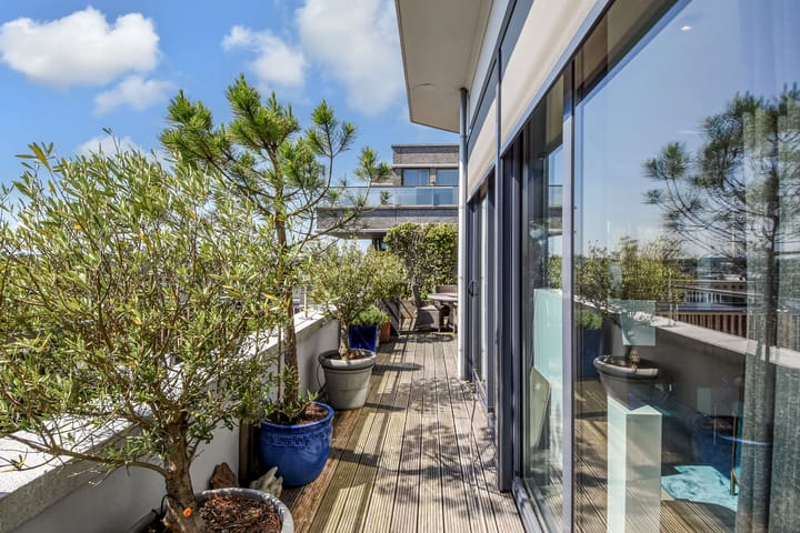 Foto 15 van Stadhoudersplantsoen 20-B