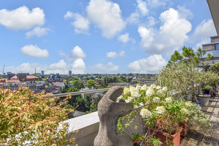 Foto 10 van Stadhoudersplantsoen 20-B