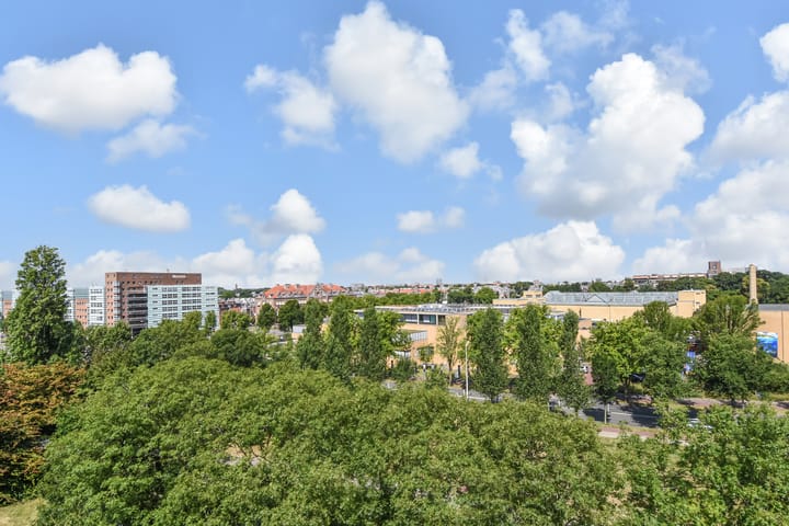 Foto 26 van Stadhoudersplantsoen 20-B