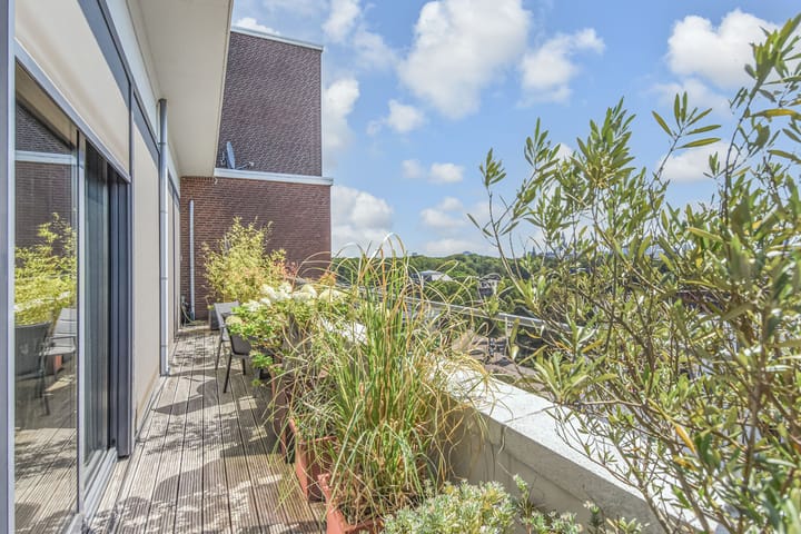 Foto 35 van Stadhoudersplantsoen 20-B