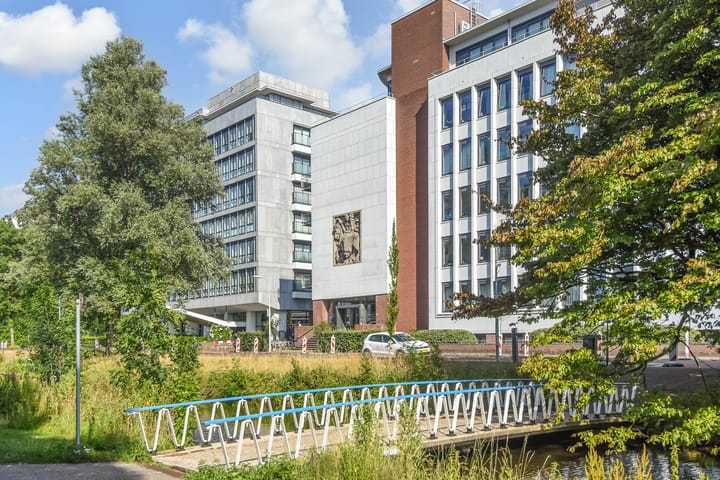 Foto 60 van Stadhoudersplantsoen 20-B