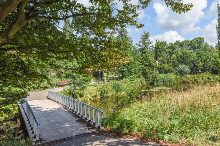 Foto 64 van Stadhoudersplantsoen 20-B