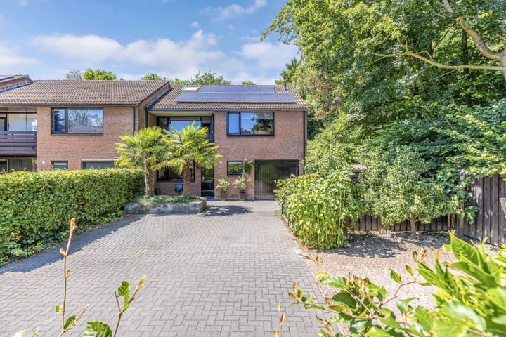 Foto 54 van Richel 2