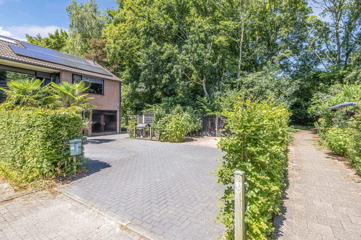 Foto 55 van Richel 2