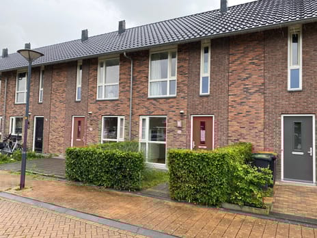 undefined main image