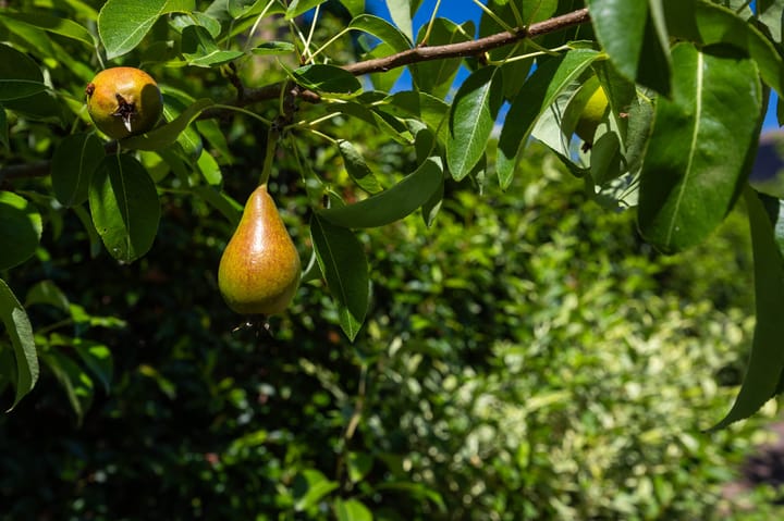 Photo 52 of Oosterhaven 45