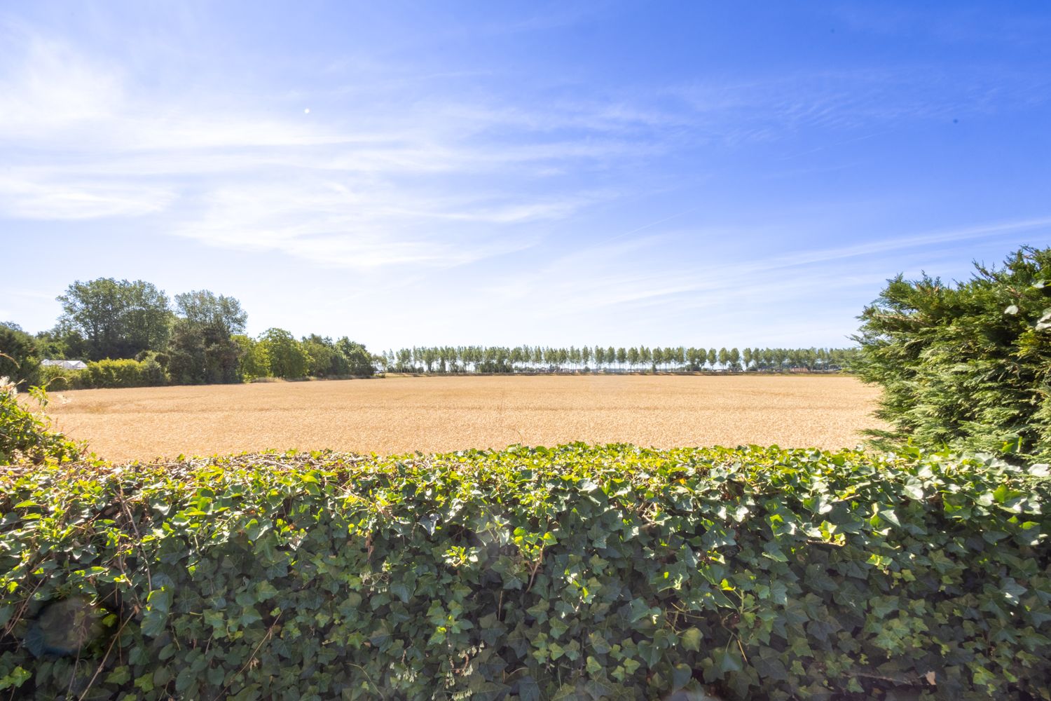 Foto 33 van Hulsterloostraat 6