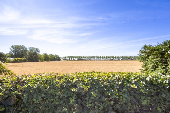 Foto 33 van Hulsterloostraat 6