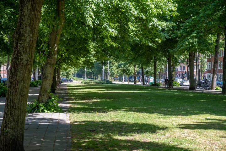 Foto 53 van Diezestraat 6-2