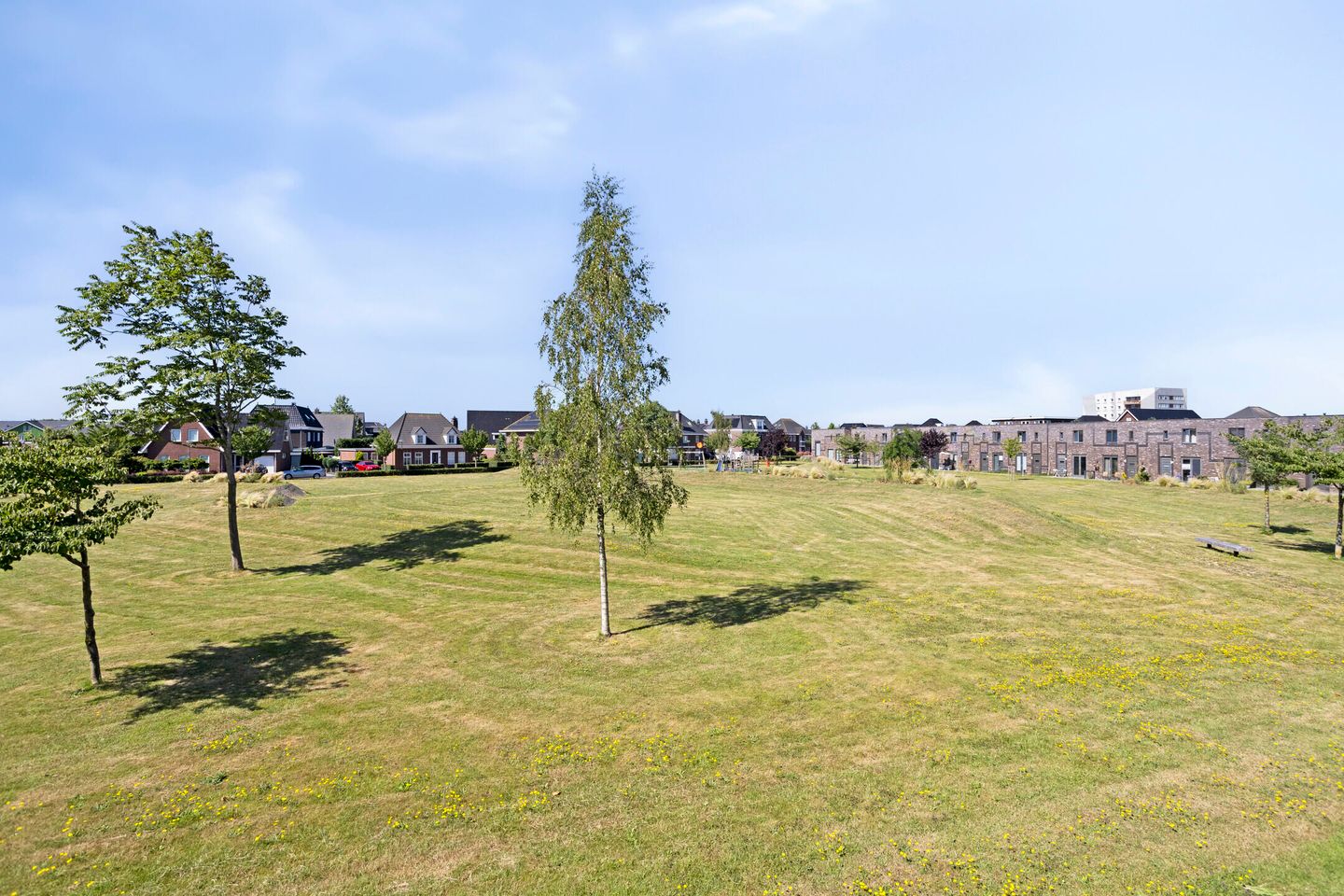 Photo 4 of Wolfspootstraat 9