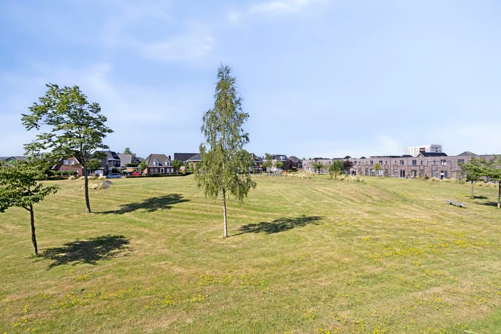 Foto 4 van Wolfspootstraat 9