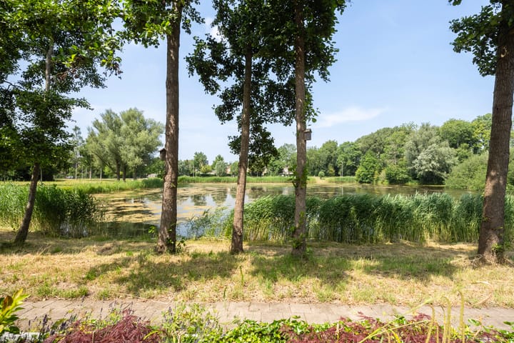 Foto 3 van Grevelingen 25