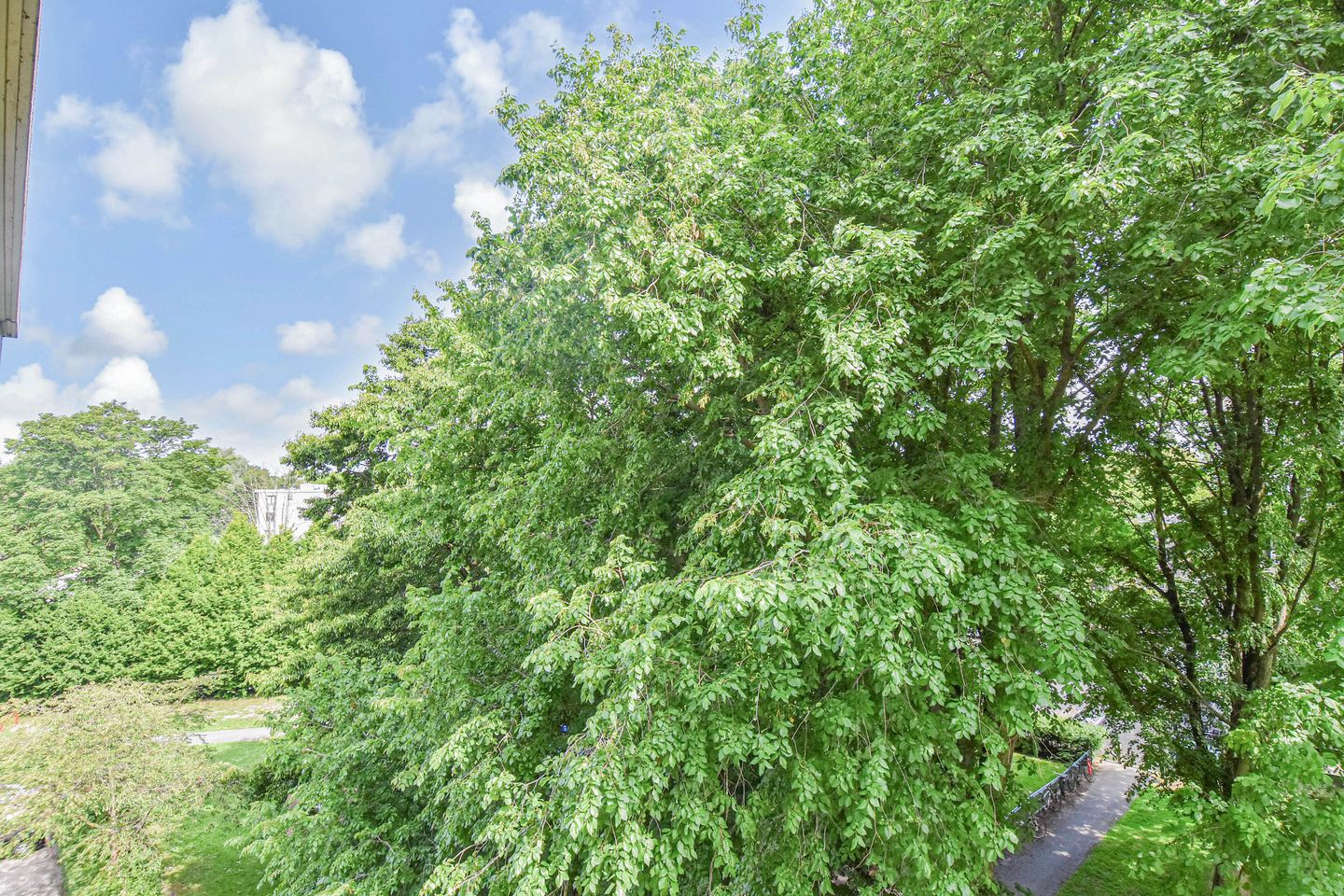 Foto 34 van Gerstkamp 84