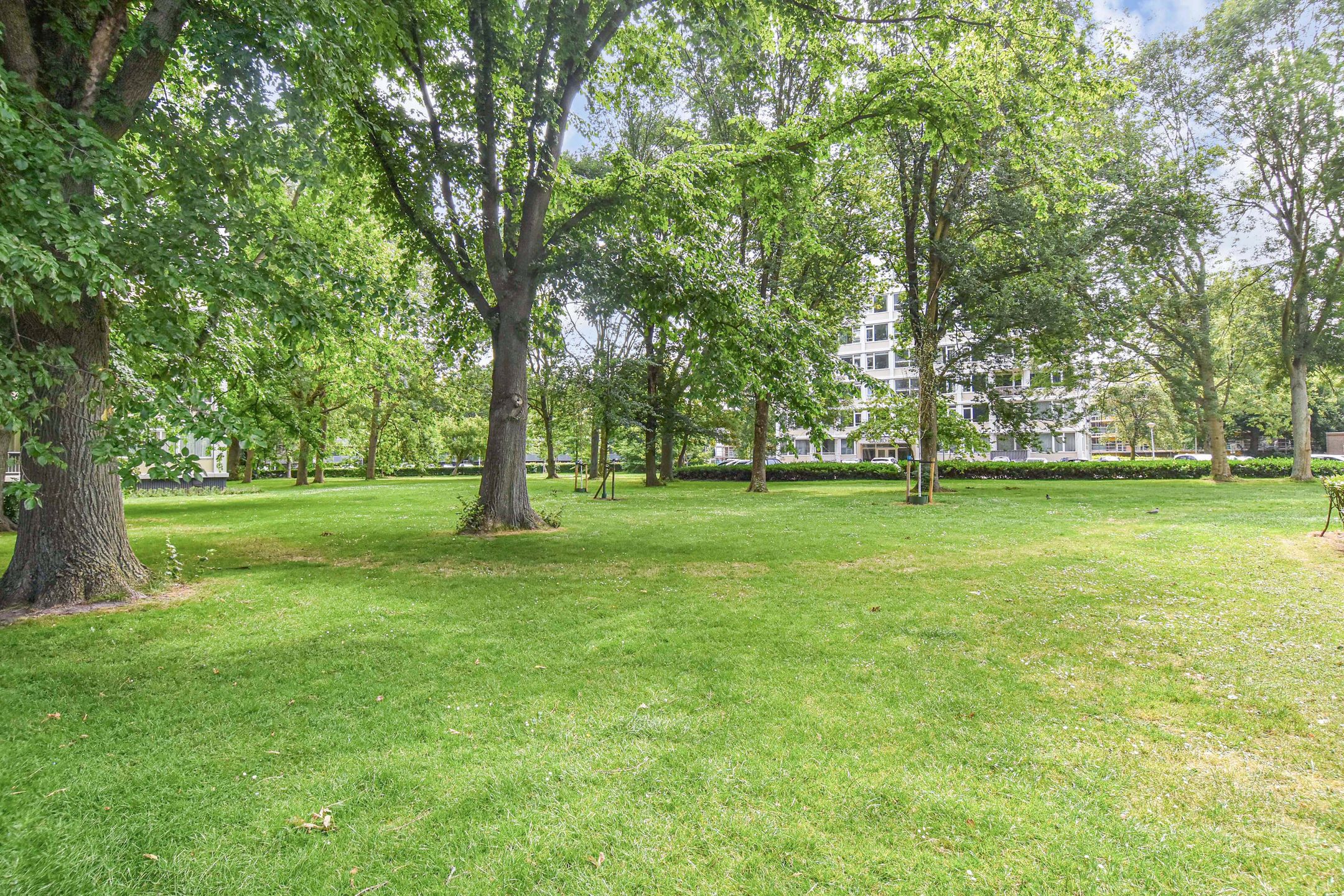 Foto 36 van Gerstkamp 84