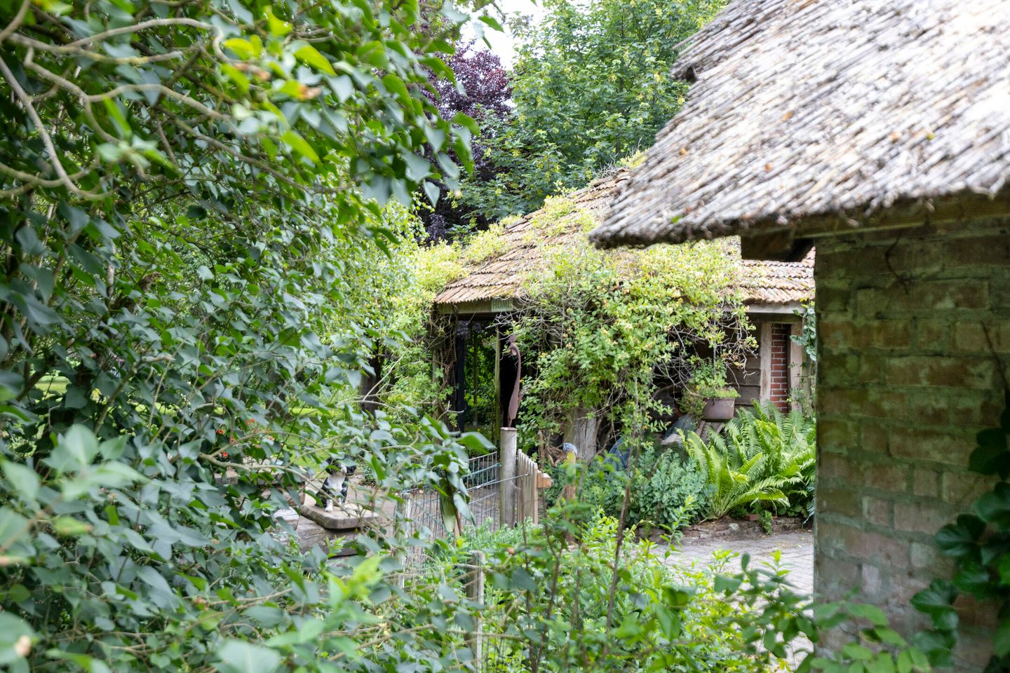 Foto 40 van Vaart Nz 127