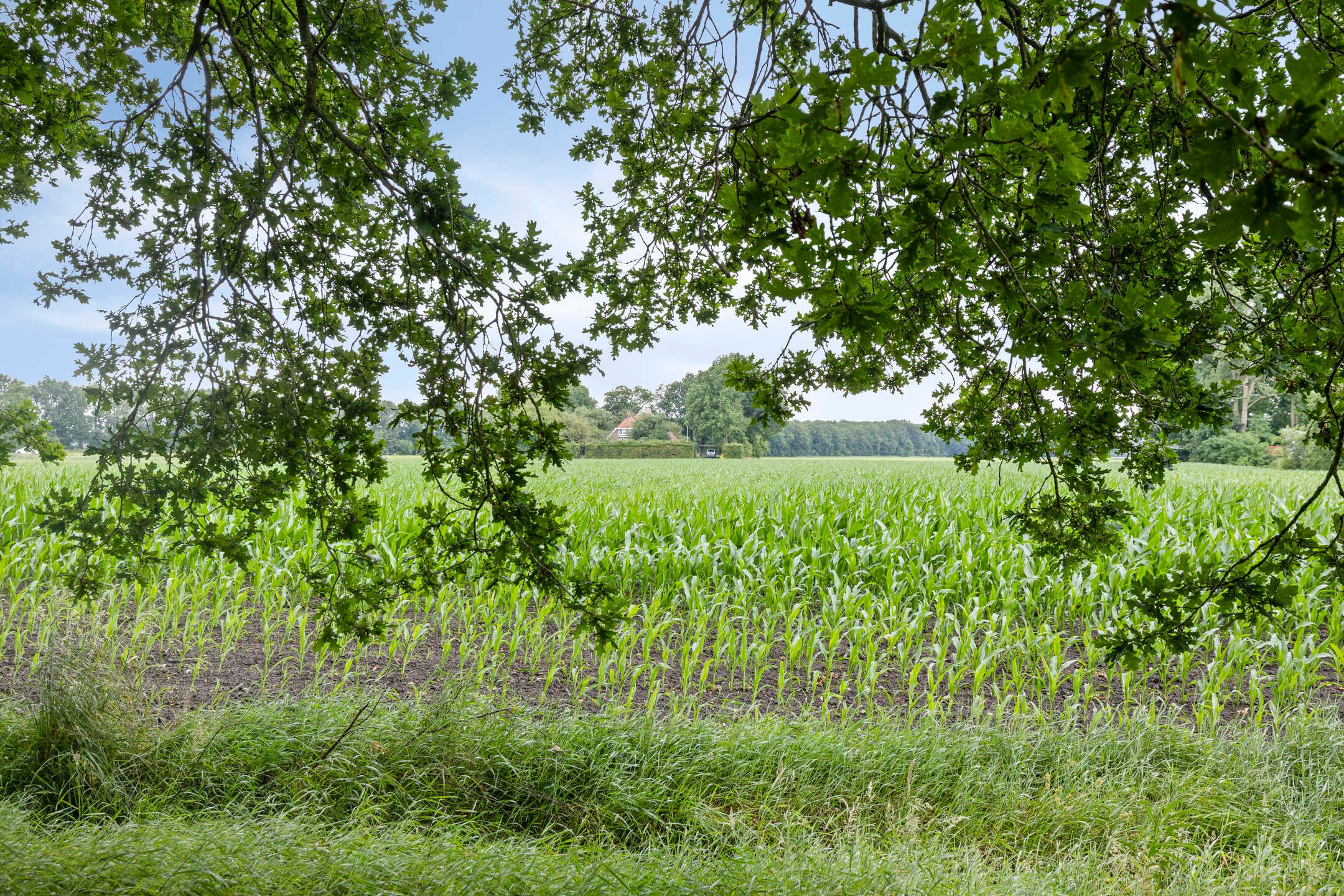 Foto 54 van Vaart Nz 127