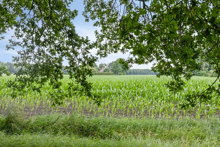 Foto 54 van Vaart Nz 127