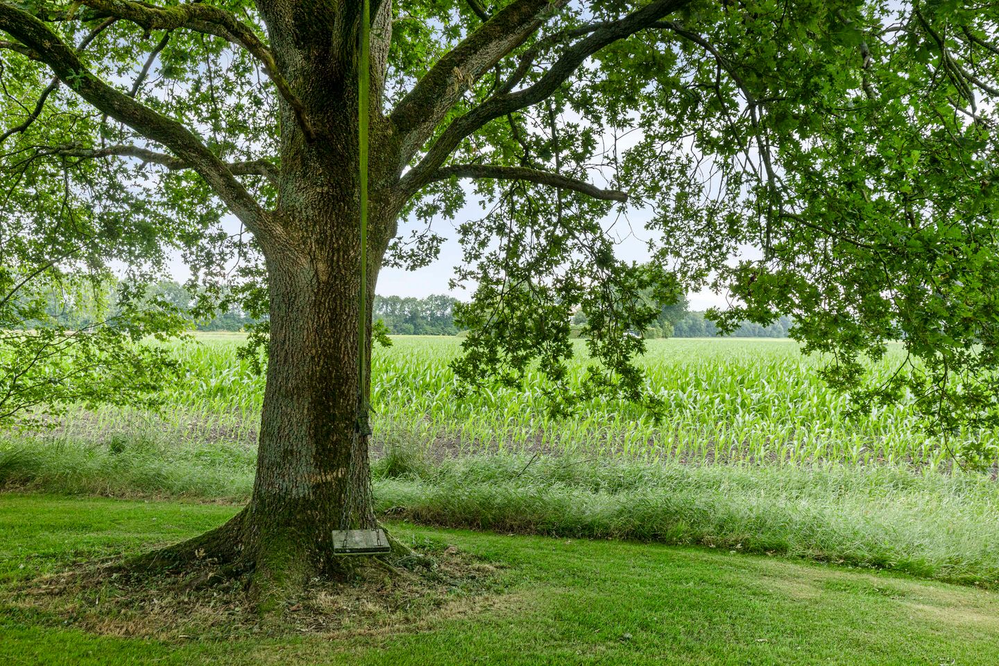 Foto 55 van Vaart Nz 127