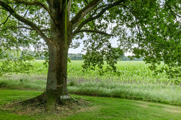 Foto 55 van Vaart Nz 127