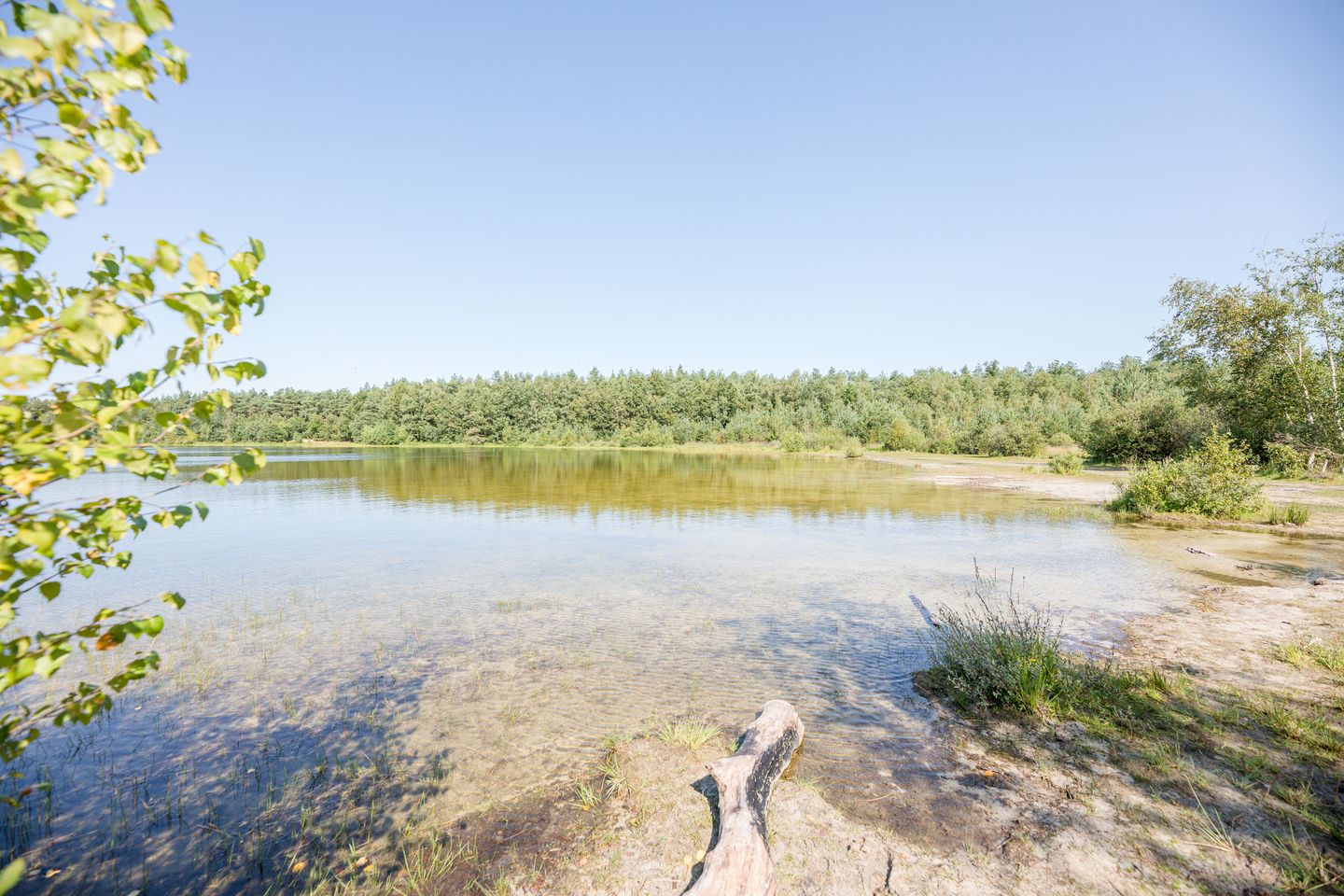 Foto 59 van Vaart Nz 127