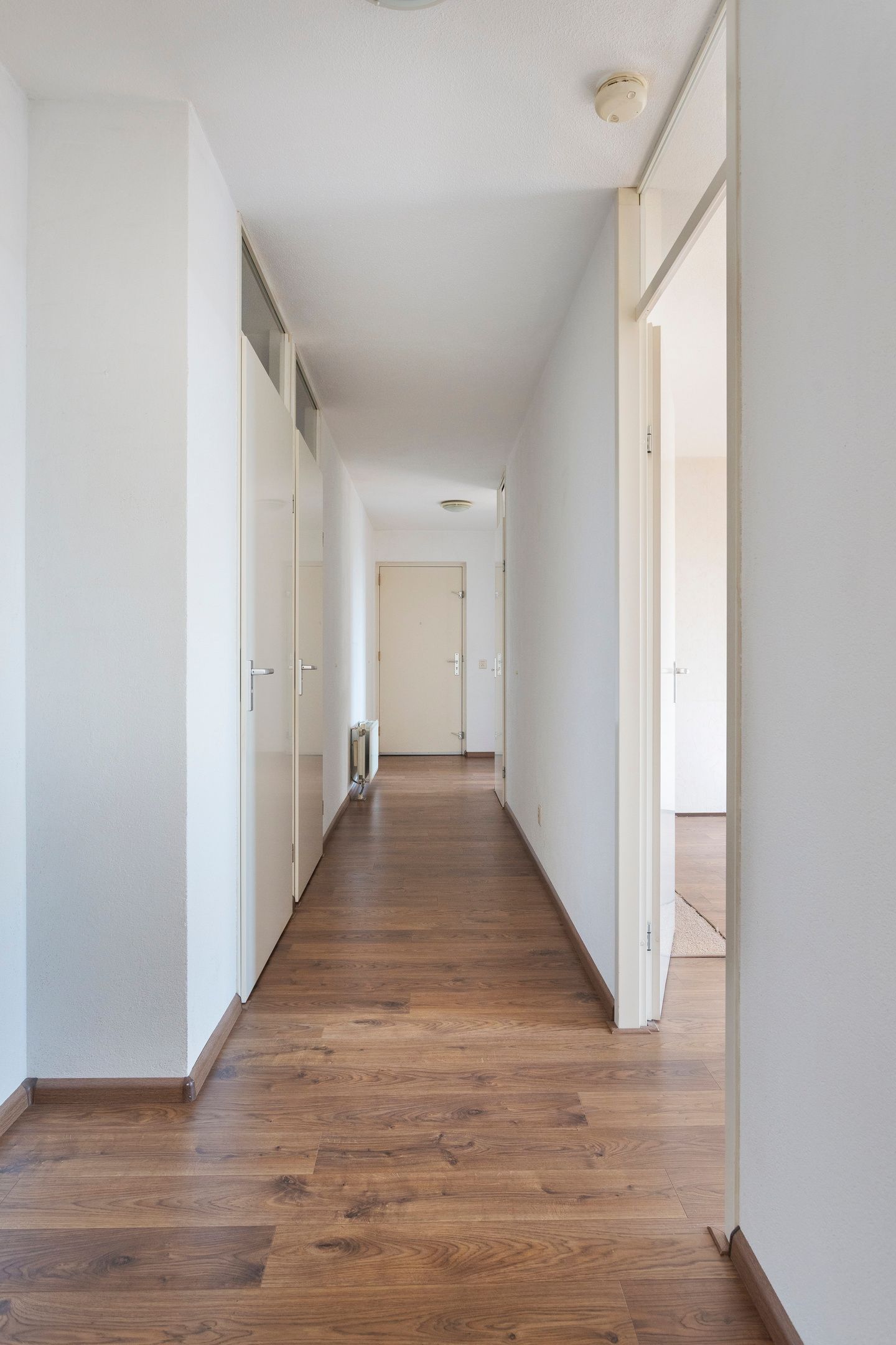 Foto 19 van Rijnveste 12