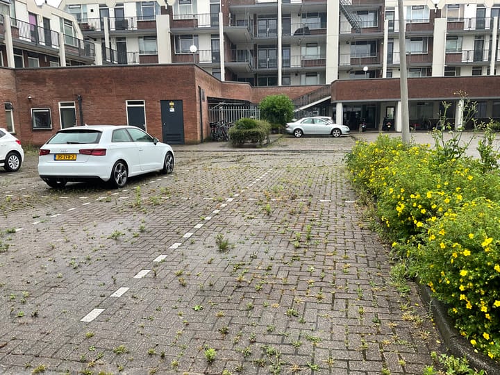 Foto 1 van Pietersburen