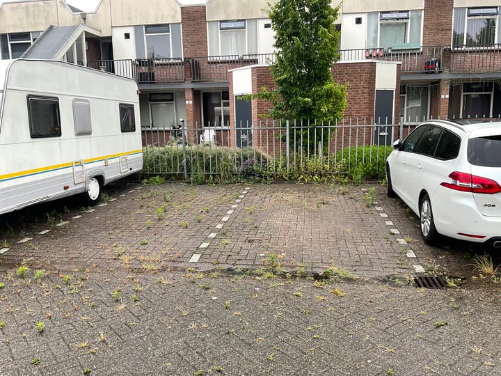 Foto 5 van Pietersburen