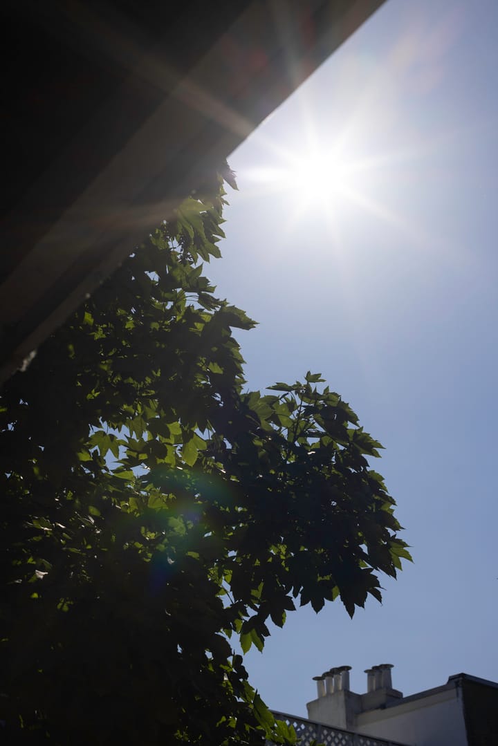 Foto 17 van Wilhelminastraat 1-2