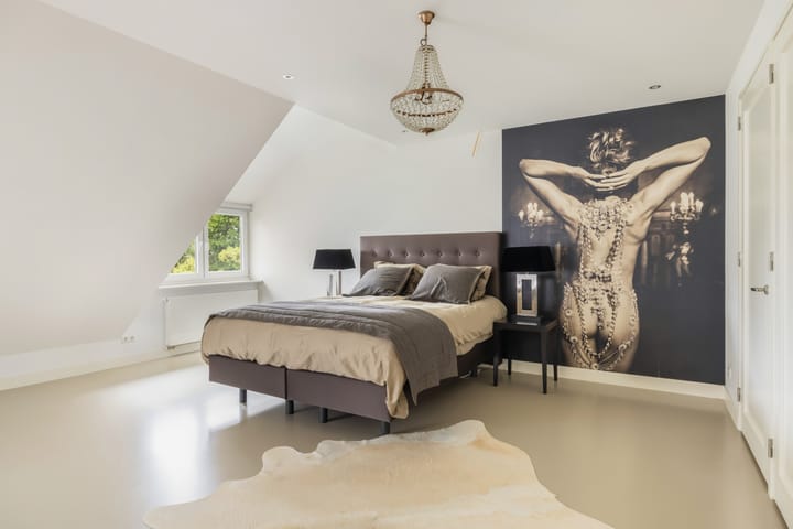 Photo 34 of Breudijk 41-C