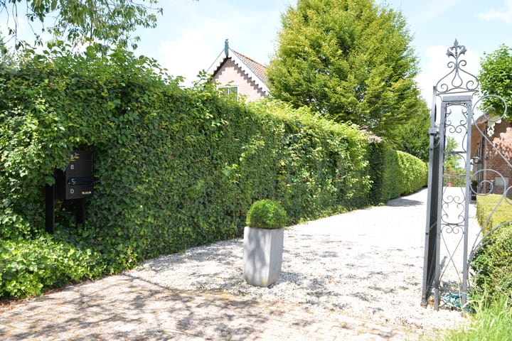 Photo 50 of Breudijk 41-C