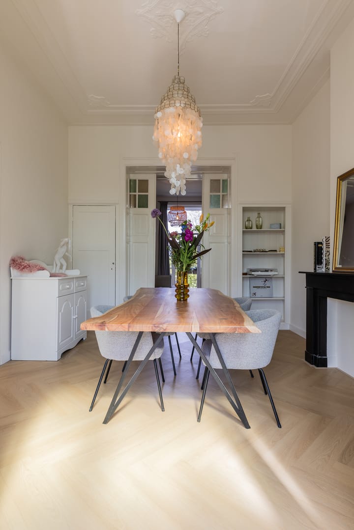 Foto 2 van Raapopseweg 114