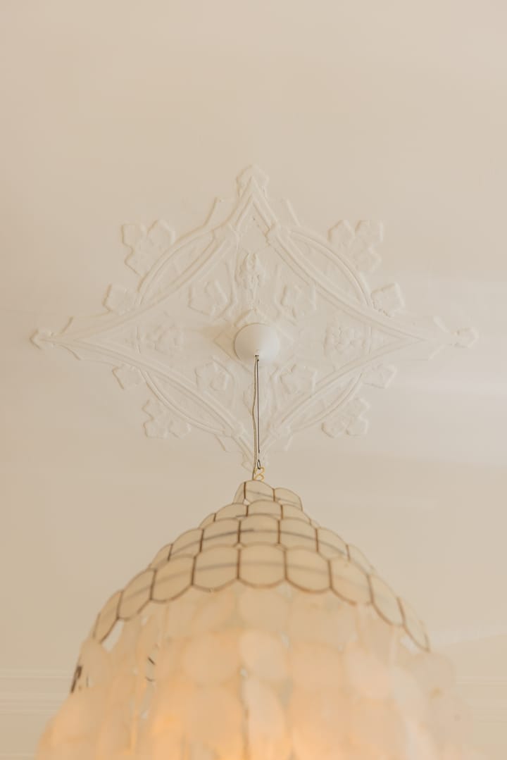 Foto 11 van Raapopseweg 114