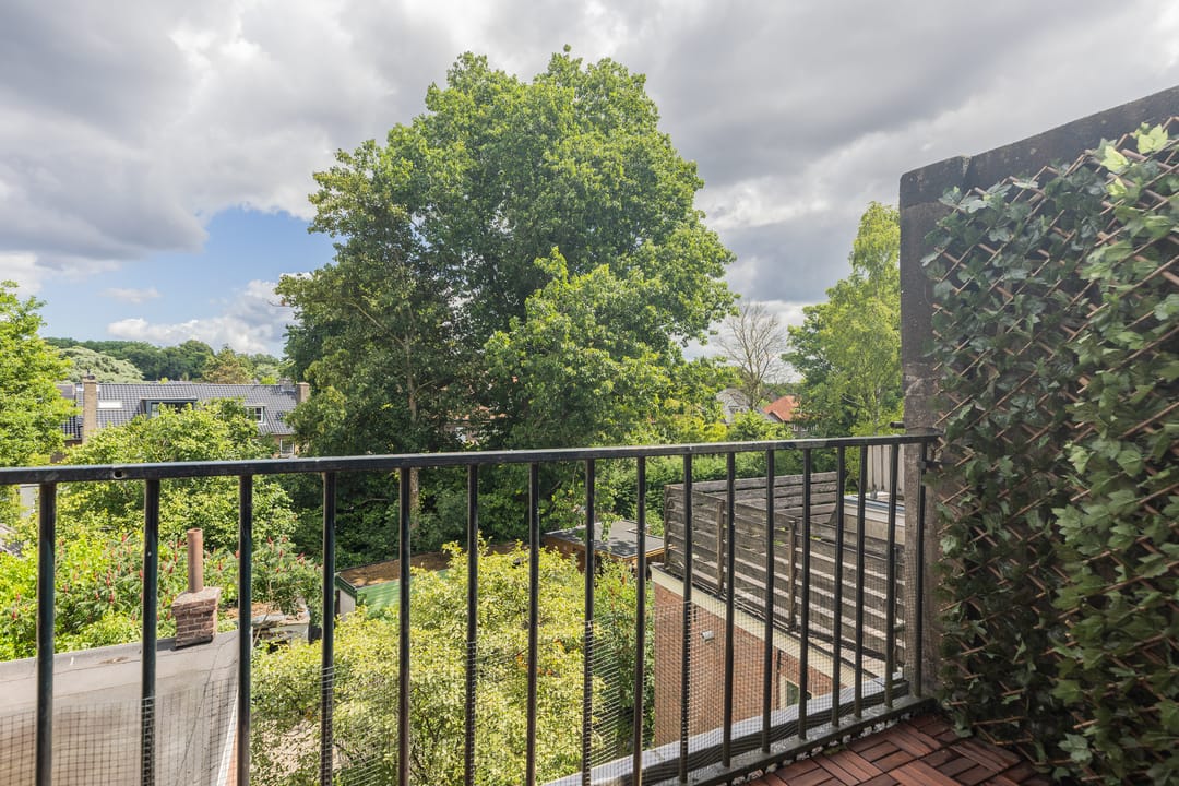 Foto 28 van Raapopseweg 114