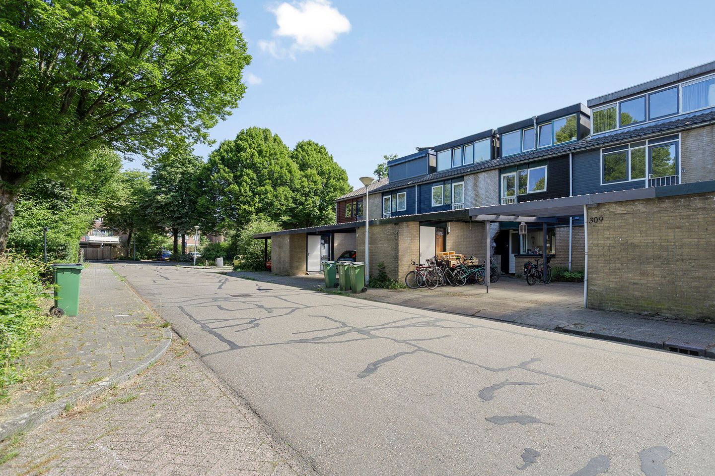 Foto 5 van Tarthorst 309