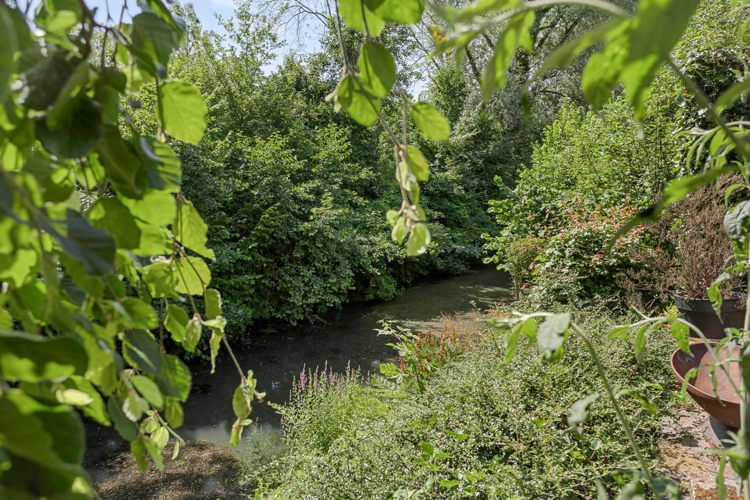 Foto 32 van Tarthorst 309