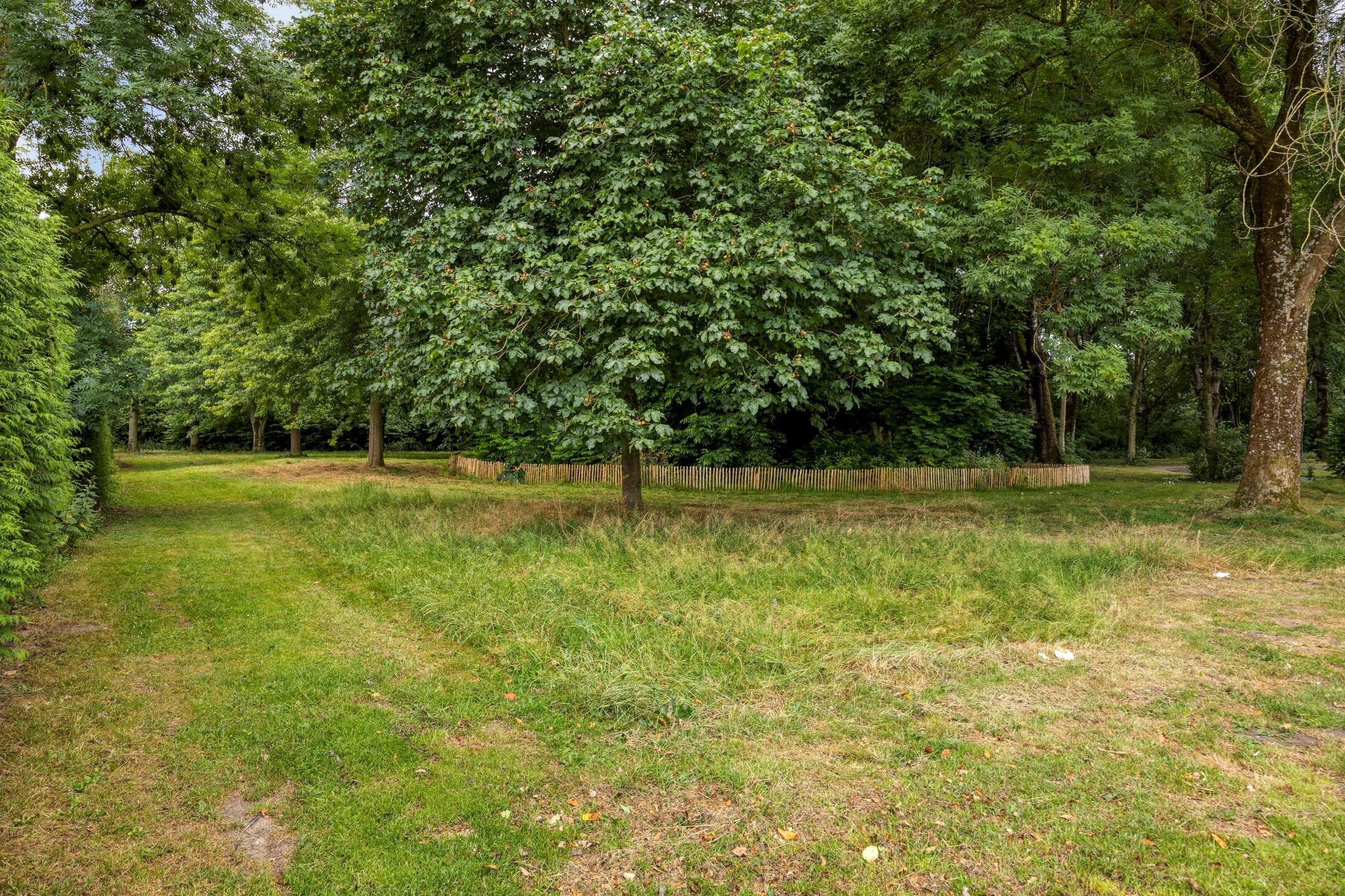 Foto 63 van Hertogshoef 242