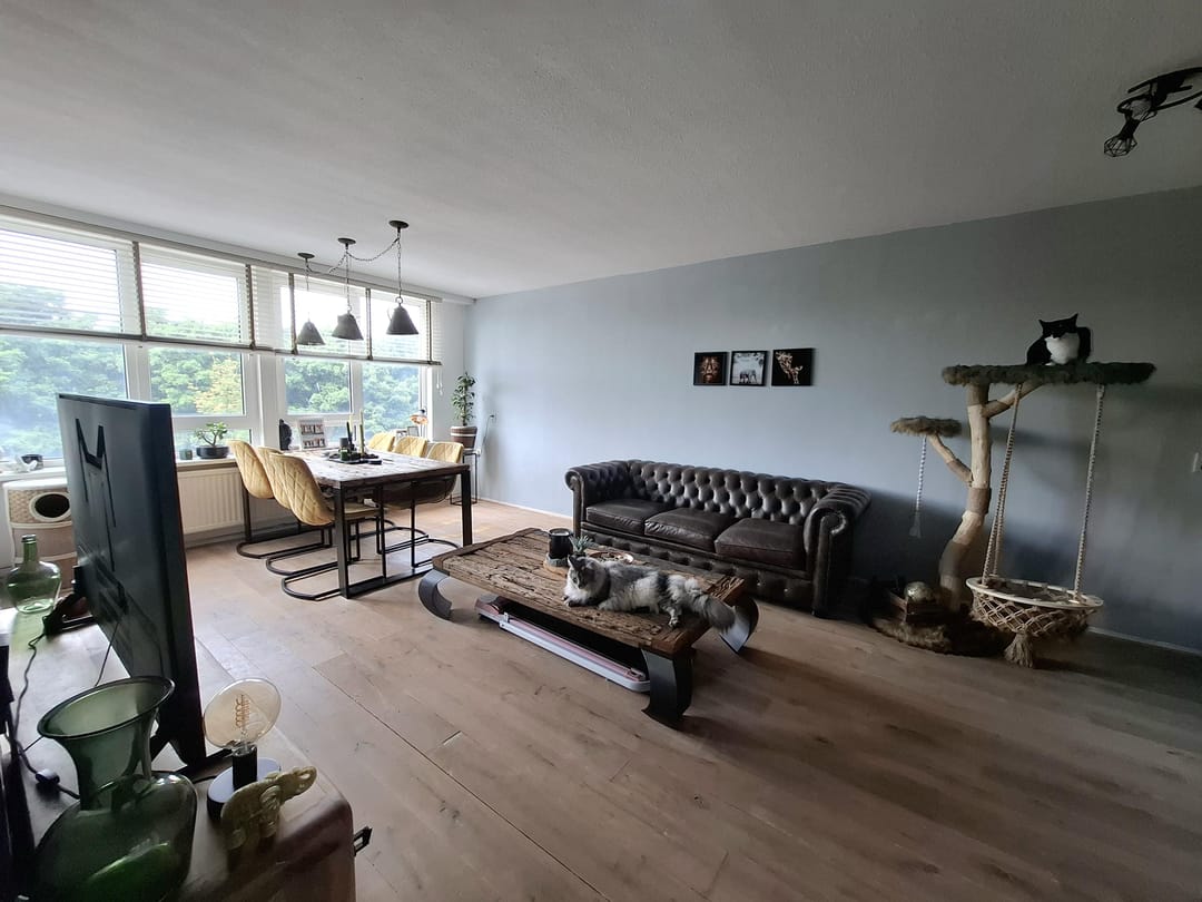 Photo 7 of Slamatstraat 96