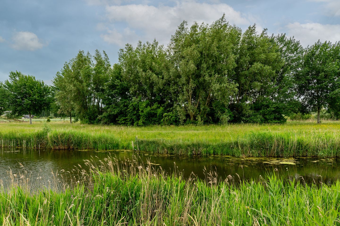 Foto 59 van Zilvervloot 44