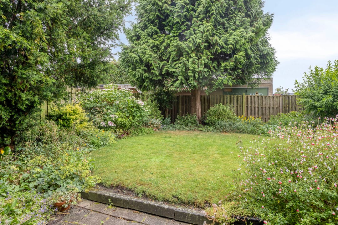 Foto 41 van Dreef 22