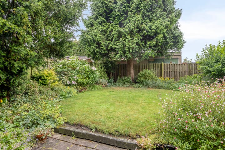 Foto 41 van Dreef 22